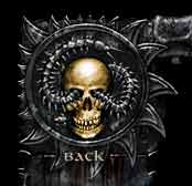 back to gallery